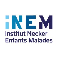 iNEM
